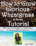 How to Grow Glorious Wheatgrass at Home Tutorial: With Salty Sea Mineral Eco-Fertilization for Superior Mineral Rich Soil