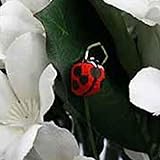 Artificial Lifesize Ladybugs on Wire Picks - Box of 24 - For Flower Arrangement Decorations or Crafts