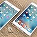 MoKo iPad Mini 4 Case - Premium Soft TPU Skin Flexible Bumper Semi-Transparent Frosted Rubber Back Cover Case for Apple iPad Mini 4 (2015 Edition) 7.9 inch iOS Tablet, Frost Clear