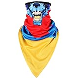 Leories Face Mask Ski Snowboard Hood Wind Cap