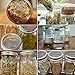Stainless Steel Sprouting Lids for Wide Mouth Mason Jars - Strainer Lid for Canning Jars and Seed Sprouting Screen