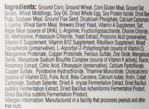 4 Kaytee+Exact+Hand+Feeding+Birds