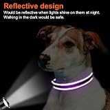 Joytale Reflective Dog Collar XS Purple, Neoprene Padded Nylon, Adjustable view 5