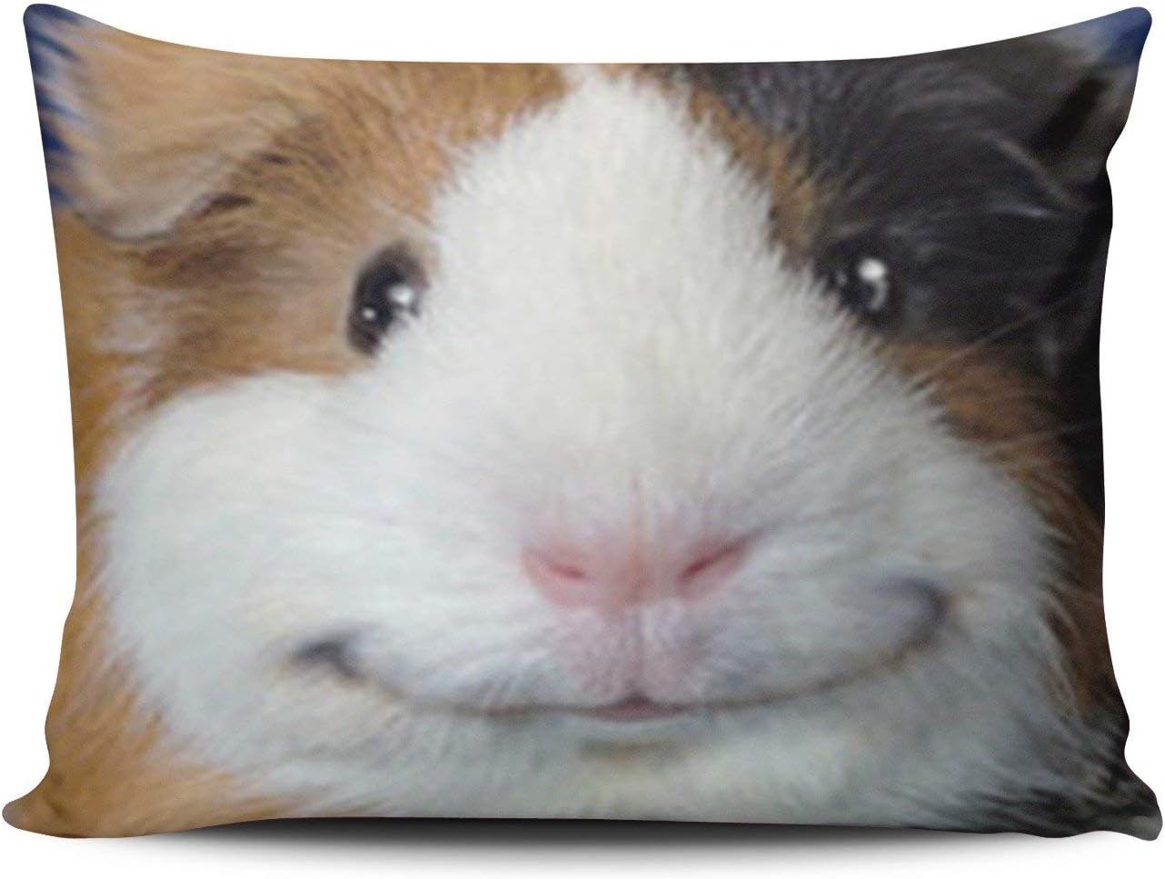 Amazon Com Spxubz Animal Pattern Funny Smiling Guinea Pig Boudoir