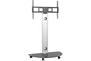 ProMounts Mobile TV Stand for 32" to 72" LCD LED Flat/Curved Panel TVs, ± 20° Swivel TV Cart Holds Up to 88lbs, Portable TV Stand with Max Vesa 600x400mm, TV Rolling Stand for Office/Home (Silver)