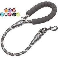 BAAPET 2/4/5/6 FT Strong Dog Leash with Comfortable Padded Handle and Highly Reflective Threads for Small Medium and…