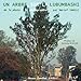 De la photo à la photographie: Un arbre sur la Lubumbashi (French Edition) by Marcel Yabili