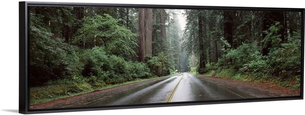 CANVAS ON DEMAND Road Passing Through Forest Avenue of The Giants Humboldt Redwoods State Park Eureka Humboldt Co.