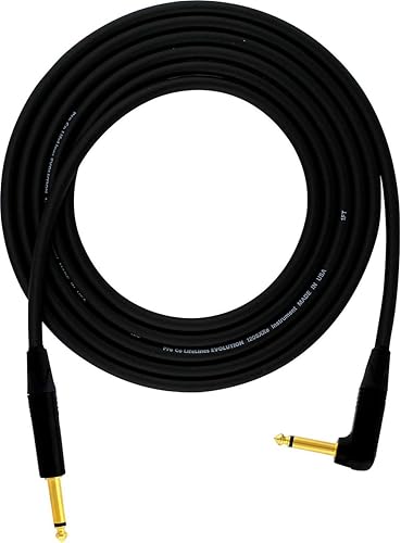 Pro Co Evolution Studio/Stage Straight