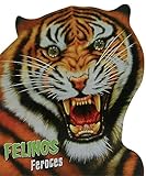 Image de Felinos Feroces / Ferocious Wildcats (Spanish Edition)
