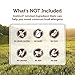 Instinct Limited Ingredient Diet Raw Boost Small Breed Grain Free Turkey Meal Formula Natural Dry Dog Food By Nature'S Variety, 4.1 Lb. Bag