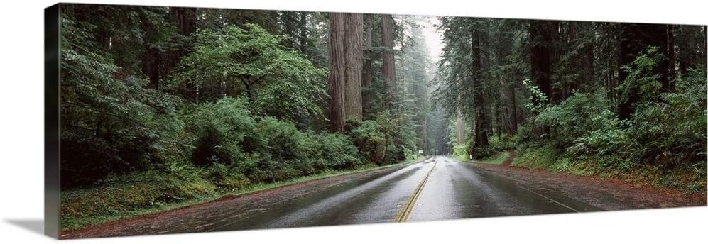 GREATBIGCANVAS Road Passing Through Forest Avenue of The Giants Humboldt Redwoods State Park Eureka Humboldt Co.