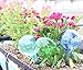 LeBeila Plant Watering Bulbs Globes 3 Small Automatic Self Watering Planter Stakes Glass Buld Balls for Indoor Outdoor Plants, Bonsai Potted Flowers, Garden Decorative Aqua Globs (3pcs, Multicolor)