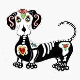 Dachshund Sugar Skull Sticker Vinyl Waterproof Sticker Decal Car Laptop Wall Window Bumper Sticker 5