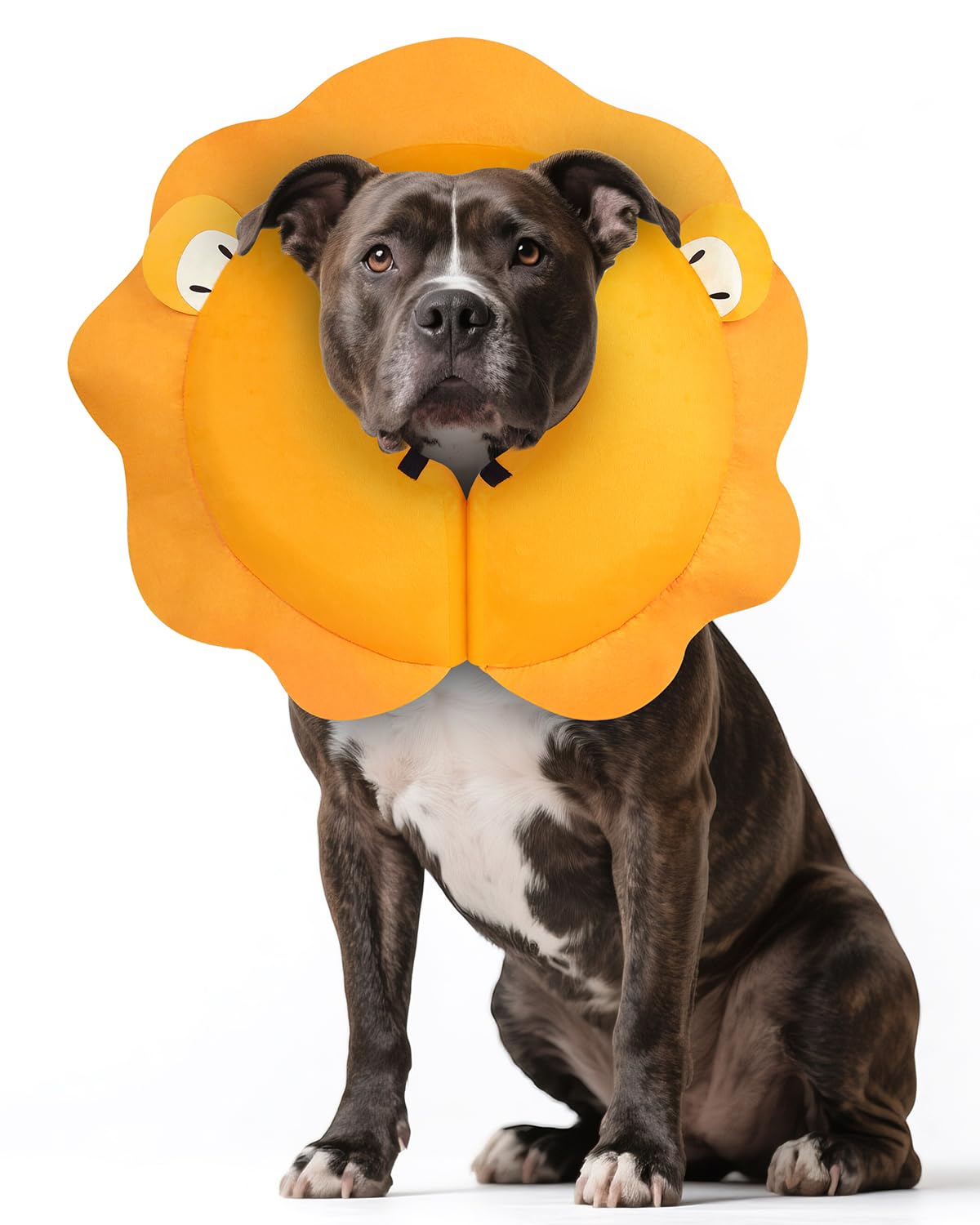 Photo 1 of MIDOG Inflatable Dog Cone Collar, Cute Lion Mane Recovery Collar for Large Medium Dogs, Soft Blow-Up Donut Alternative After Surgery, Anti-Lick Protective Neck E-Collar (L, 15"-20")
