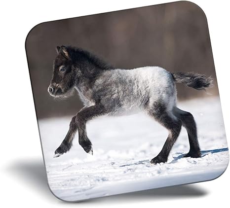 Amazon Co Jp 素晴らしい冷蔵庫マグネット かわいい子馬馬のポニー雪のクールなギフト 2130 ホーム キッチン