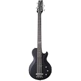 Schecter dUg Pinnick DP-12 12-string Bass Guitar - Satin Black