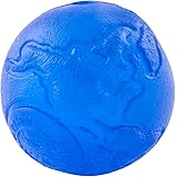 orbee tuff squeak ball
