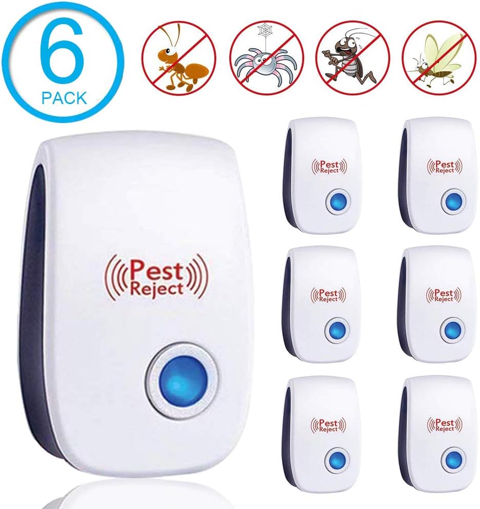 Best Killing Fleas In Carpet