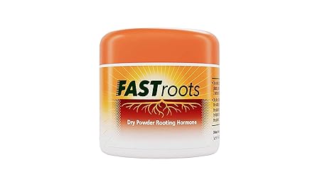 DIVINE TREE Fast Root Dry Powder Rooting Hormone for Plant Grow Nutrition 50 Gram