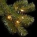 National Tree Company Pre-Lit Artificial Christmas Wreath, Green, North Valley Spruce, White Lights, Christmas Collection, 24 Inches