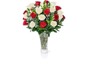 Aquarossa Farms - 2 Dozen Roses Christmas Bouquet, Best Next-Day Fresh Flower for Delivery Prime, Ideal for Birthdays, Get Well Gift for Women, Anniversary, Sympathy, Congratulations, Thank You