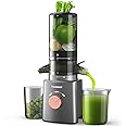 Juicer Machines, TUUMIIST Cold Press Juicer with 4.25'' Large Feed Chute Fit Whole Vegetable And Fruit, Masticating Juicer Easy To Clean, Dark Grey