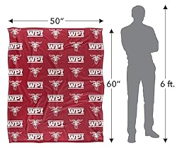 Worcester Polytechnic Institute Engineers
