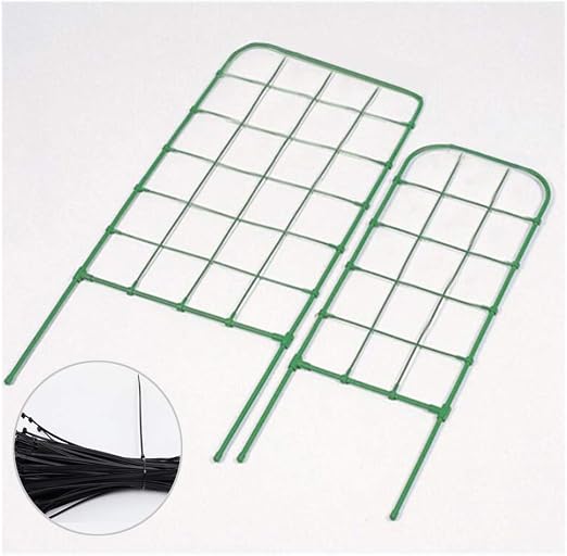 SOULOS - Soporte de plástico para macetas de Plantas trepadoras ...