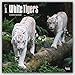 White Tigers 2017 Calendar