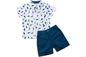 Toddler Baby Boy Summer Outfit Cute Dinosaur Short Sleeve Shirts Top &Shorts Kids Boy Clothes