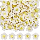 SUNNYCLUE 60Pcs White Plumeria Beads Polymer Clay Flower Beads Bulk 2 x 1.1cm Summer Hawaiian Themed 3D Floral Flat Back Loose Spacer Charms for Jewelry Making Bracelet Necklace DIY Craft Accessories