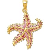 JewelryWeb 14k Yellow Gold Textured Polished Pink Enameled Sea shell Nautical Starfish Pendant Necklace 32x23mm Wide Pendant for Women