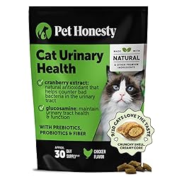 Cat Urinary Tract Health Crunchy & Creamy Chews