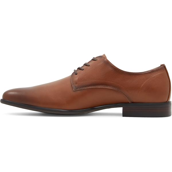 Amazon.com | Call It Spring Men
