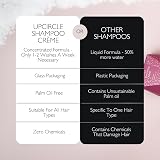 UpCircle Jumbo Shampoo Crème Rosemary Pink Berry 150ml Gift Box view 4