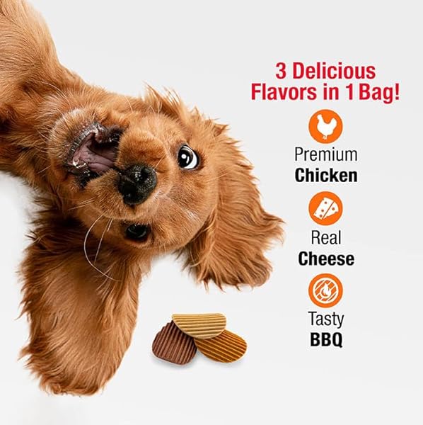 GOOD’N’FUN GOOD ‘N’ TASTY TRIPLE FLAVOR WAVY CHIPS, 3 OZ, TREATS FOR DOGS