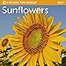 Sunflowers Mini Wall Calendar 2017