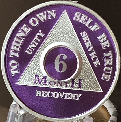 6 Month Purple Silver Plated AA Medallion Chip