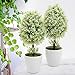 MyGift Set of 2 Small Artificial Topiary Trees, Faux Tabletop Greenery in White Planter Pots