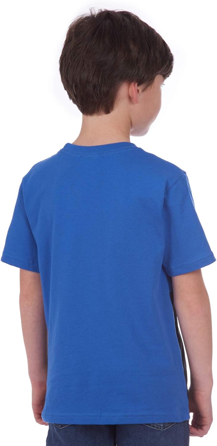 DC Comics Boys' Glow in The Dark T-Shirt – Batman Logo Kids: Clothing