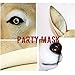Plague Doctor Mask - Long Nose Bird Beak Steampunk Halloween Costume Props Mask (b)