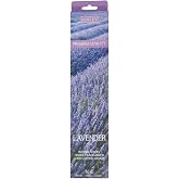 Hosley 40 Pack Incense Sticks &ndash; Lavender &ndash; Perfect for Home, Meditation &amp; Aromatherapy