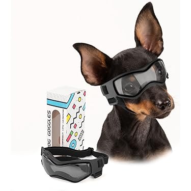 dog goggles amazon Best Sellers: Best Sunglasses FPV drone Diamant Saphir 26 Zoll Color:Matte Black & Graphite
