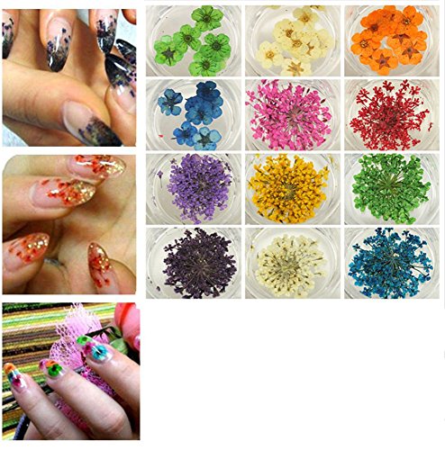 XICHEN 36 Starry Plus 36 Five Flower Flower Three-Dimensional Applique 3D Nail Stickers Nail Supplies Dried Flowers 2 12 Color (Starry and Five Flower) - Thumbnail 2