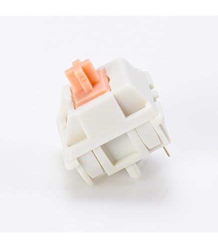 Amazon.com: Drop Holy Panda X Interruptores de teclado mecánico