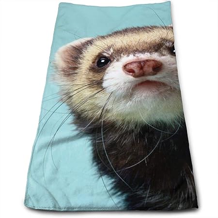 Doormat-bag Alphabetical Ferret 100% Cotton, Fade Resistant, Highly Absorbent, Machine Washable, Hotel Quality, Soft Absorben