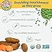 Earth's Best Organic Stage 1 Baby Food, My First Veggies Variety Pack, 2.5 oz. Jar (12 Count)