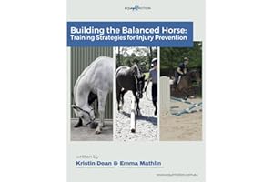 Building the Balanced Horse: Training Strategies for Injury Prevention