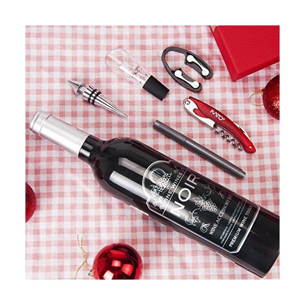 Wine Accessories Gift Set - 5 Pcs Deluxe Wine Opener Bottle Corkscrew Kit, Great Gift for Wine Lover, Gadgets for Men…